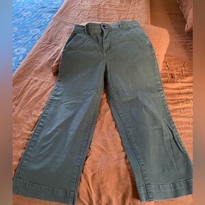 Everlane utility wide leg pant.